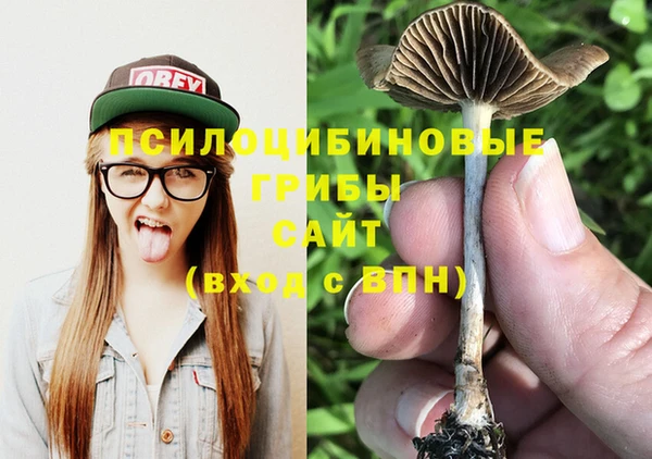 сатива Аркадак
