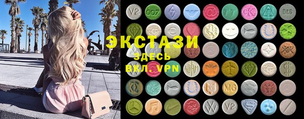 сатива Аркадак