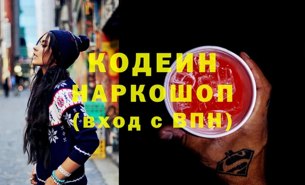дурь Бердск