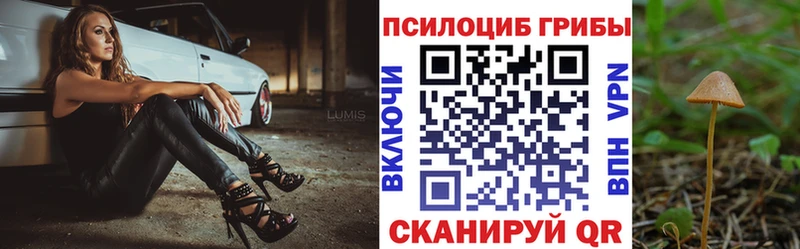 Псилоцибиновые грибы Cubensis Воткинск